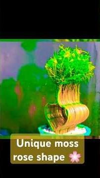 Moss Rose Bonsai Tree 🌸 | Gutha Hua Moss Rose | Creative Plant Shaping #shorts #ourplants #plants