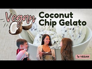 Vegan Coconut Chocolate Chip Gelato