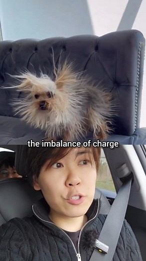 9.5K views · 88 reactions | Static electricity is the build of charge on an insulator. When two objects are rubbed together to become charged, it is called charging by friction. Like charges repel ✋️ Opposite charges attract ❤️ | vt.physics | Facebook