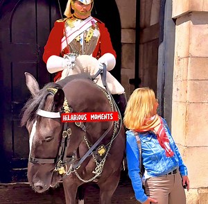 Regal Fun: Tourists and Royal Horses Unite for a Day of Pranks and Laughter! 🐴👑" #RegalFun #RoyalHorses #TouristAdventures #PranksAndLaughter #EquestrianJoy #FBLifestyle | The Royals King's Guard's England