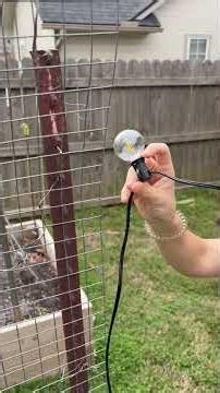 Solar Powered String Lights- Watch To See All The Features