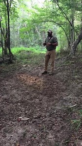 1.4K views · 31 reactions | Hog Wild Blowout time: It’s Hot out here at the plantation, but that’s not stopping us from getting on these Alabama Wild Hogs. Check out the next post of yesterday’s action along with a special visitor. | Great Southern Outdoors Wildlife Plantation | Facebook