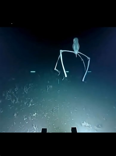 Mount Semeru in East Java erupted again on Monday (April 20, 2026) at 16:25 WIB. In the past week, Mount Semeru has erupted twice. Quoting eruption information from the Center for Volcanology and Geological Hazard Mitigation (PVMBG) via the MAGMA Indonesia application, the observed ash column height reached 600 meters above the peak (4,276 meters above sea level). The ash column was observed to be gray in color with thick intensity towards the north. The eruption was recorded on the seismograph 