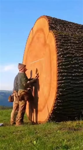 They Carved a Hidden Luxury Home Inside a Mega Tree (Pure ASMR Fastlapse)