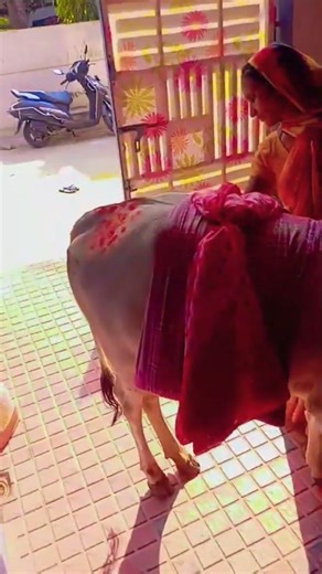 🙏🙏🙏🙏🙏🌺🌺