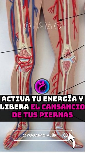 Cuando las piernas se sienten frías o cansadas, el cuerpo te está pidiendo atención. Con unos movimientos simples puedes reactivar la circulación, liberar la pesadez y devolver la energía a todo tu cuerpo. 🌿 Haz esta pequeña rutina cada día y notarás cómo tu cuerpo se vuelve más ligero, más cálido y lleno de vida. 💖 #bienestarnatural #yogafacial #energíavital #circulación #piernasligeras #rutinasaludable #movimientoconsciente #equilibriofemenino #cuerpoymente #vitalidaddiaria #fblifestyle | Yo
