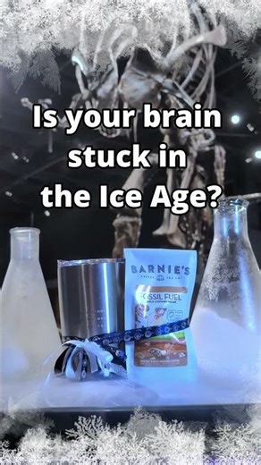 Barnie's Coffee Blend & Engraved Coffee Tumbler Bundle Available At Orlando Science Center