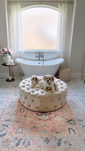 80K views · 241 reactions | Rug Restock! Our viral washable rugs...