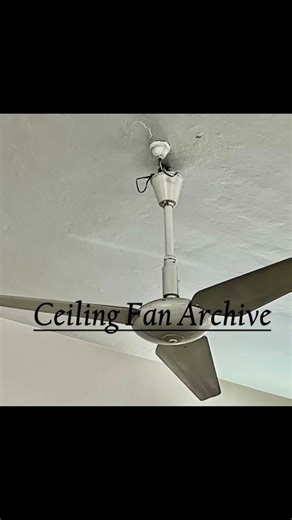 rare ceiling fans (i forgot to add creds)