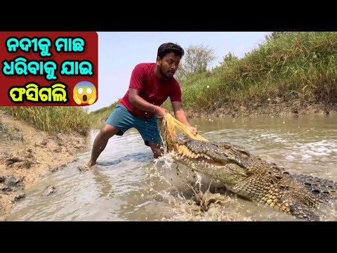 ନଦୀରେ ମାଛ ଧରିବାକୁ ଯାଇ ଫସିଗଲି 😱 || Fishing Vlog || Village Lifestyle || Sudhansu Amita Vlog