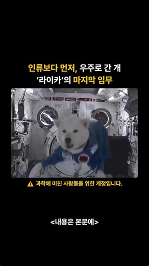 과학 여행 on Instagram: "🐾 지구를 처음으로 돈 생명체, 우주개 ‘라이카’의 마지막 여정 1957년 11월 3일, 소련은 스푸트니크 2호(Sputnik 2)를 발사했습니다. 그 안에는 인류보다 먼저 우주로 향한 생명체, 바로 암컷 개 라이카(Laika)가 타고 있었죠. 라이카는 지구 궤도를 돈 최초의 생명체로 기록되었지만, 그 당시엔 귀환 기술이 없어 지구로 돌아오지 못했습니다. 발사 후 몇 시간 만에, 캡슐 내부 온도가 급상승하며 과열로 사망한 것으로 알려졌습니다. 하지만 이 실험은 헛되지 않았습니다. 라이카를 통해 얻은 생체 데이터는 우주에서 생명체가 어떻게 반응하는지 이해하는 데 큰 도움이 되었고, 그 덕분에 4년 뒤, 1961년 소련의 우주비행사 유리 가가린(Yuri Gagarin)이 인류 최초로 지구 궤도를 돌며 귀환에 성공했습니다. 🐶 우주 탐사의 첫걸음은 인간이 아닌, 한 마리의 개로부터 시작되었습니다. ✳️ 참고용 영상입니다 @space.travel.z