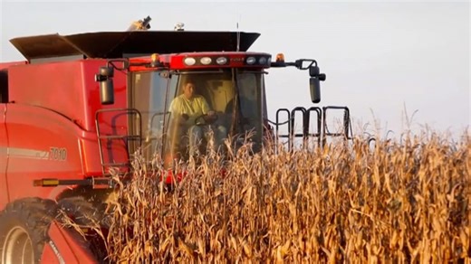 Farm bankruptcies increase over last five years, Politico analysis finds