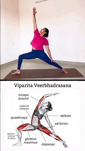 How to Do Viparita Virabhadrasana (Reverse Warrior) | Build Strength & Flexibility