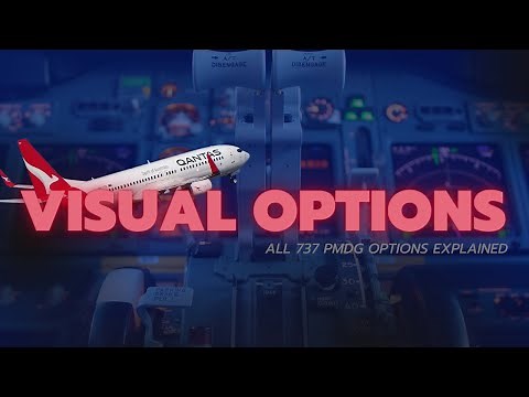 VISUAL OPTIONS - ALL 737 PMDG OPTIONS EXPLAINED
