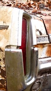Rescued From The Woods After 40 Years... | Restored