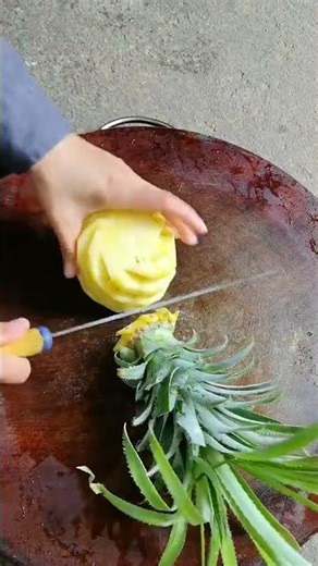 St 464486 mini rotary tillage and ridging all-in one tree 🌲 short view #subscribe #shorts #trending