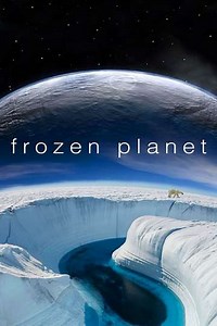 Frozen Planet (2011) - TV Show