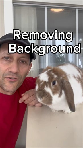 Removing background from your images in less than two seconds ￼#creator #socialmediatips