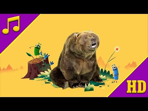 Big Brown Boogieing Bear (Sing-Along) | StoryBots