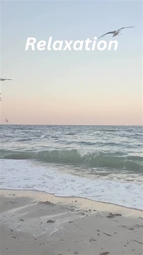 Where the ocean listens and the birds answer. #ocean #birdsong #peaceful #calm #nature
