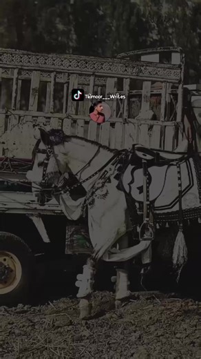 Exploring Views Problems on Social Media