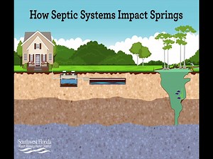 66 reactions · 22 shares | #MySprings Take 90 seconds to learn how septic systems can affect the springs. | Southwest Florida Water Management District | Facebook