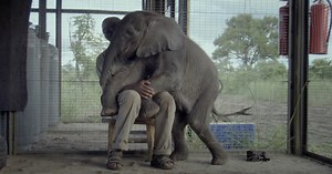 The 12 Best Nature and Climate Change Documentaries on Netflix Right Now