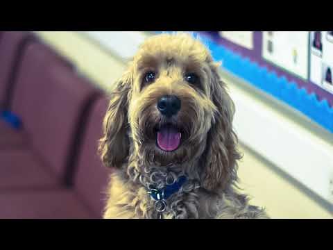 Patcham High School Virtual Tour 2020