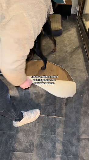 Excited About My New Hardwood Floor Reveal