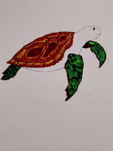 how to draw sea turtles