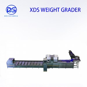 [Hot Item] Automatic Optical Sorting Equipment, Apple Color and Size Grading Machine