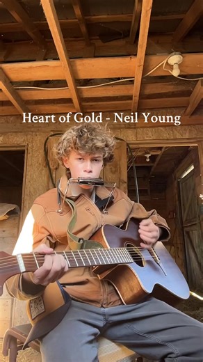 Heart of Gold - Neil Young Cover on Harmonica