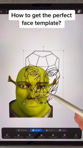 Perfect Face Template Procreate Tutorial