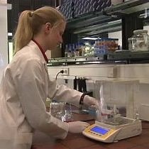 Isolation of Mouse Embryonic Motoneurons | JoVE Journal