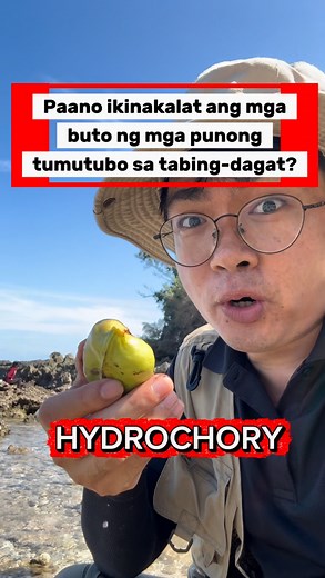 101K views · 2.9K reactions | Hydrochory seed dispersal | Ethan Hernandez | Facebook