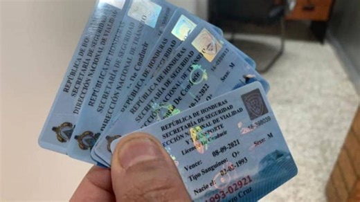 Paso a paso: cómo renovar la licencia de conducir en línea en Honduras | HRN