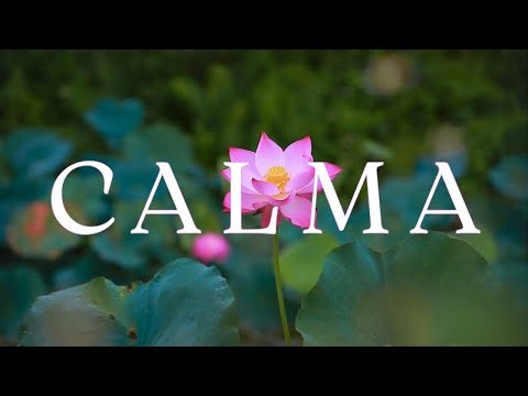 CALMA 🌸 Música Relajante para Reducir la Ansiedad y Calmar la Mente