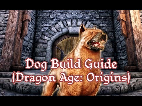 Dog Build Guide (Dragon Age: Origins) - B-Tier Guides