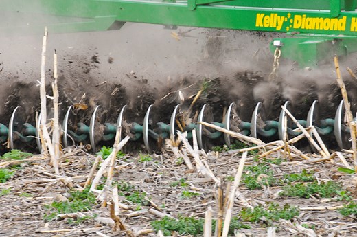 Kelly Chain and Diamond Harrow - O'Connors