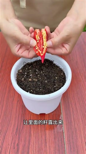 Fruit growing – you can grow all these fruits yourself! #flowering #gardening #plants #flowers #g...