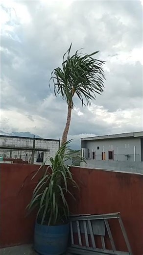 my city🥰this afternoon.16.40 pm.Malang-East Java,Indonesia🇲🇨🤗.