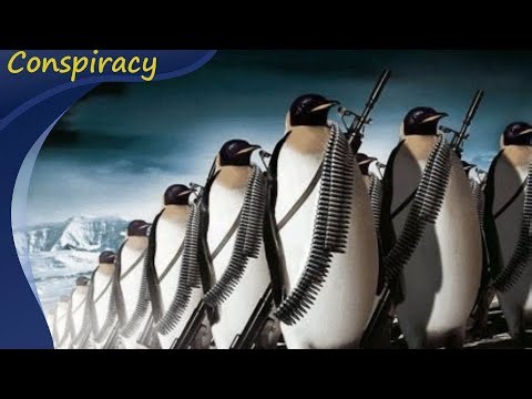 2025 the Year of the Final Experiment