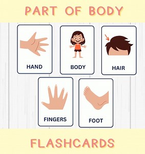 Body Parts Flashcards: Montessori Learning Cards (PDF) - Etsy Canada