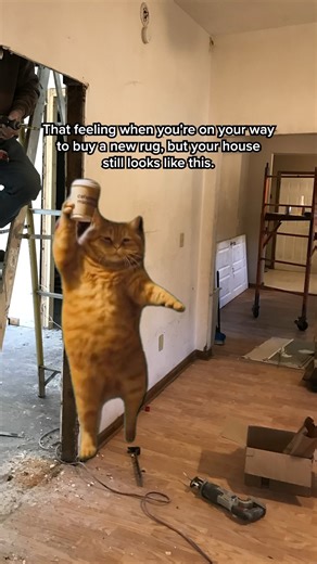 Counting down the days ‘til we can finally use it ⏱️ | Angi