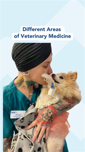 8.5K views · 89 reactions | From surgery to animal behavior and everything in between—veterinary medicine has it all. Which area excites you the most? | VCA Animal Hospitals | Facebook