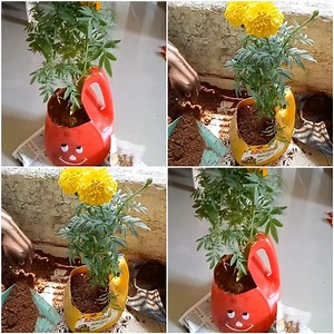 Like us to see the most amazing art & crafts ideas | Art & Creative Ideas