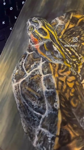 New projects coming this year 👀 I can’t wait to share more details with yall! #turtle #neworleans