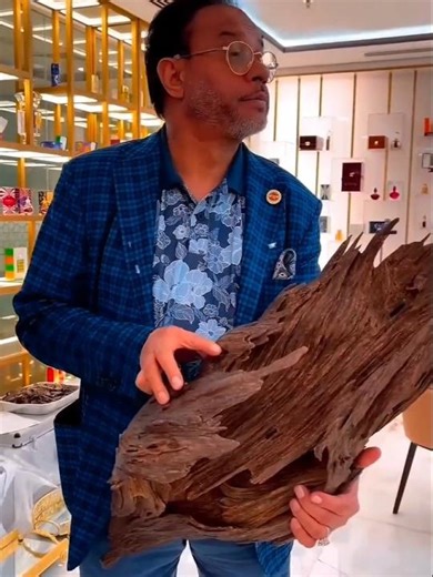 Why Agarwood Costs Lakhs Per Kg | Shocking Facts