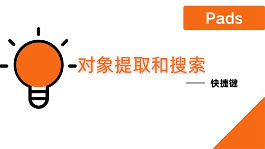 P08_PADS对象提取和搜索