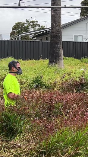 Tim the Lawnmowerman: Lawn Cleanup